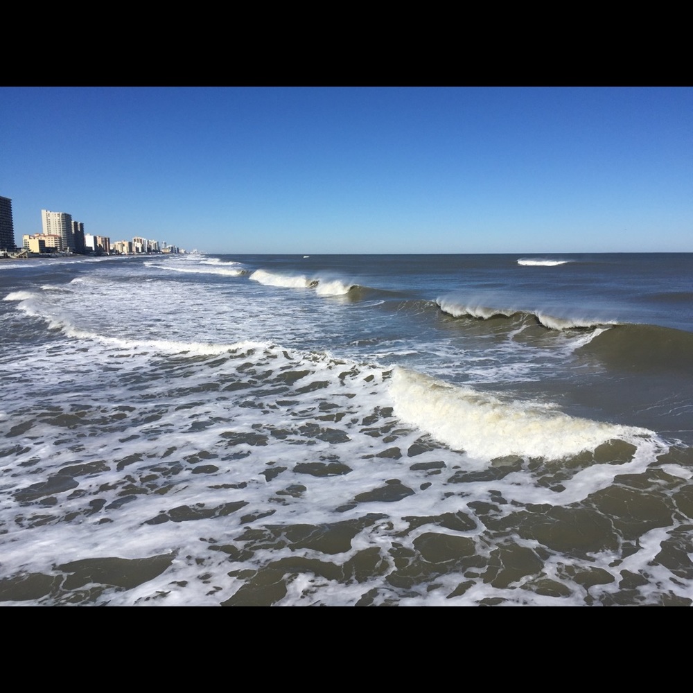 Meet your Posher, Shannon